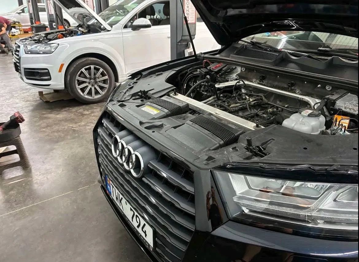 Audi Q7 2.0 TFSI al lui Fedor la schimbarea uleiului în cutia ZF 0D5
