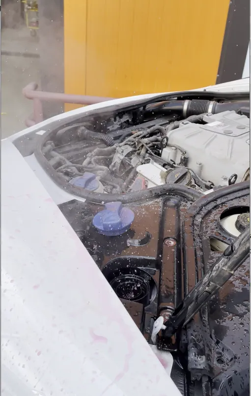Porsche Panamera 3.0 TFSI al lui Bogdan la repararea sistemului de răcire · 2
